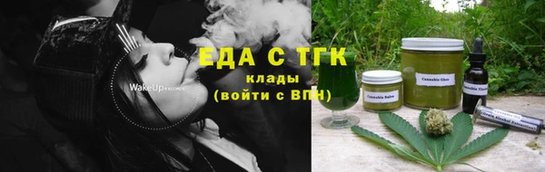 стафф Тосно