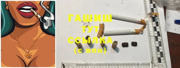 стафф Тосно