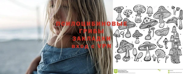 ешки Гатчина