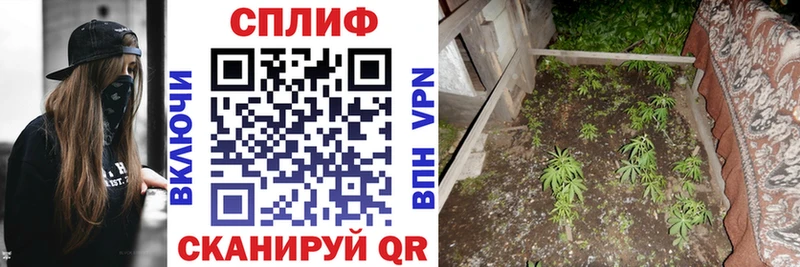 Каннабис THC 21%  как найти   Гдов 